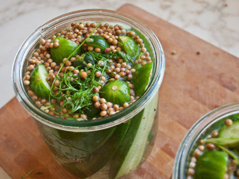 Gherkin - mustard seeds